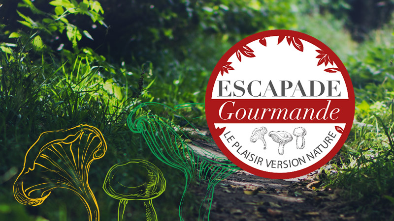 New range of trays ESCAPADE Gourmande